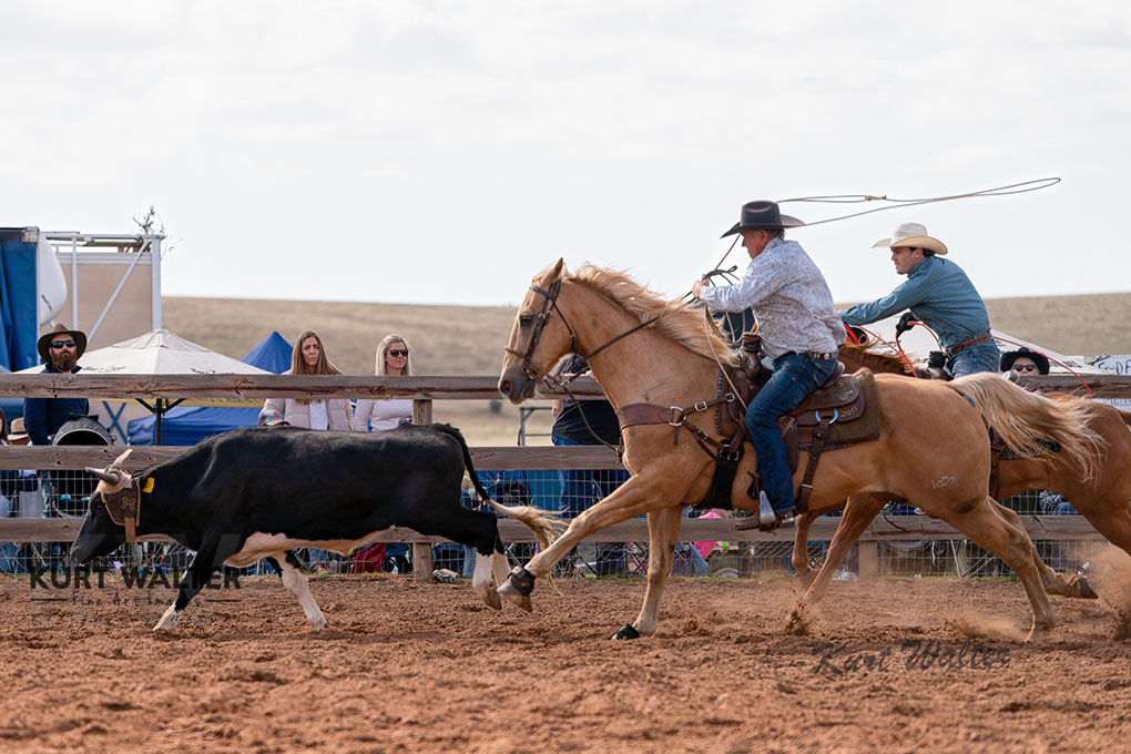 barossa-rodeo-2023-lyndoch-bull-riding-steer-wrestling-barrel-racing_0006