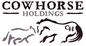 cow-horse-holding-barossa-rodeo-sponsor